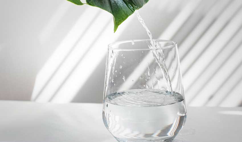 flushes out toxins and free radicals flushes out toxins and free radicals