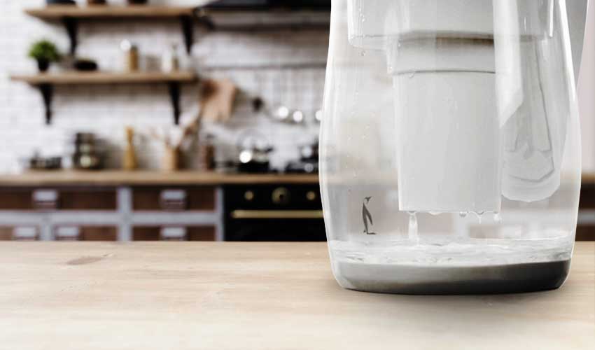 gentoo water filtration gentoo water filtration
