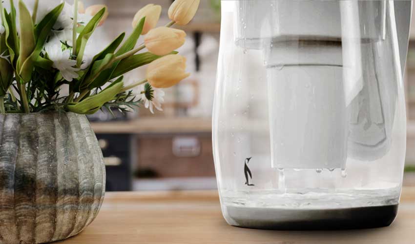 gentoo water filtration gentoo water filtration