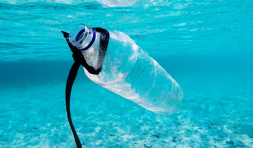 start with the big four start with the big four